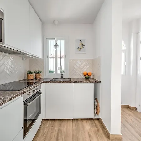 Apartment Fantastic Penthouse With Roof Terrace In The Heart Of